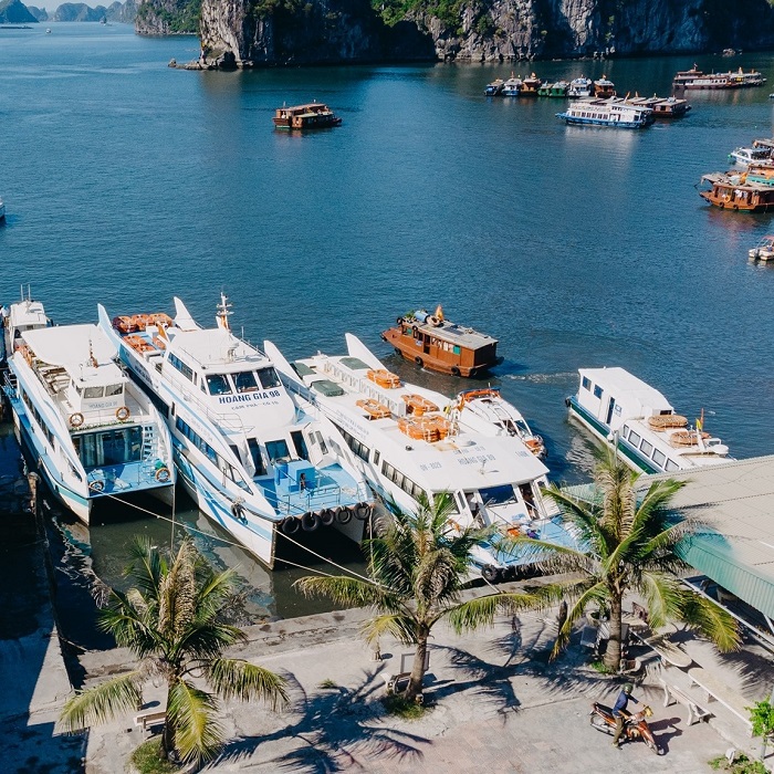 Bạn có thể chọn nhiều loại tàu để ra đảo Ngọc Vừng Quảng Ninh