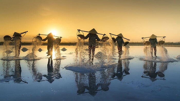 du lịch Nam Định ghé thăm đồng muối Bạch Long đẹp như tranh vẽ