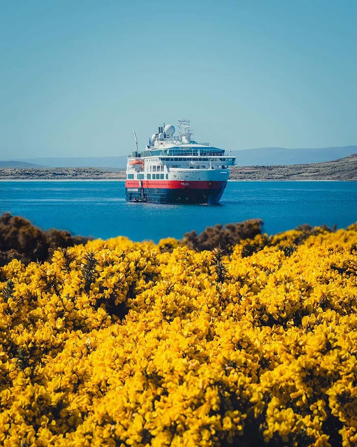 Khám phá Gypsy Cove  khi du lịch quần đảo Falkland