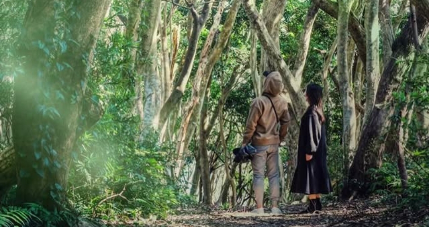 Ghé thăm Mie với cảnh quan thiên nhiên tuyệt đẹp