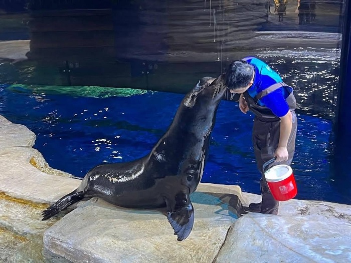 30/4 nên đi đâu ở Hà Nội, hãy thử ghé thủy cung Lotte Mall Tây Hồ