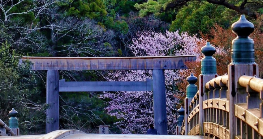 Ngắm nhìn đền Ise Jingu nổi tiếng và linh thiêng