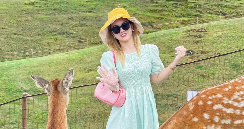 Nên ghé du lịch Hồ Nam vào mùa thu theo lời khuyên của cẩm nang du lịch Hồ Nam. 