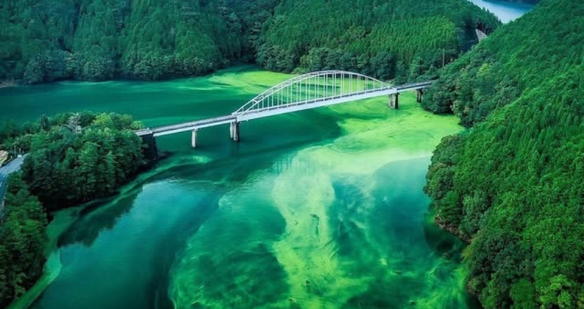 Theo cẩm nang du lịch Mie, mùa thu là thời điểm thích hợp nhất để tới tham quan.