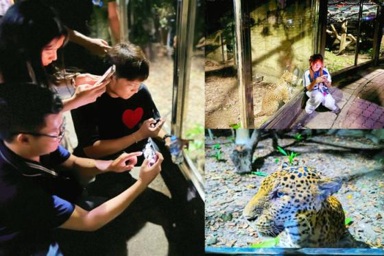 Khám phá thế giới động vật dưới góc nhìn độc đáo với tour đêm thảo cầm viên TP HCM