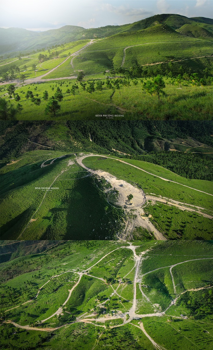 Mùa cỏ xanh tại đỉnh Phượng Hoàng thường kéo dài từ khoảng tháng 3 đến tháng 8, với đỉnh điểm xanh mướt, tươi mới vào đầu hè. Đây là thời điểm lý tưởng để cắm trại, dã ngoại với thảm cỏ mênh mông, thoáng đãng, mang vẻ đẹp hoang sơ, trong lành.