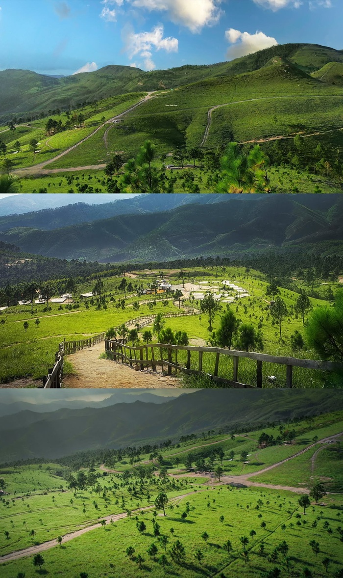 Những triền cỏ xanh trải dài uốn lượn theo địa hình tại Đỉnh Phượng Hoàng.