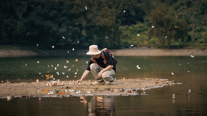Khoảnh khắc du khách giữa đàn bướm bay tại Vườn quốc gia Cúc Phương sau cơn mưa đầu mùa.