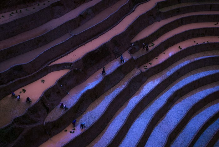 Bức tranh lao động của người dân. 