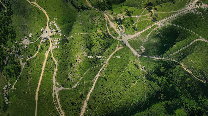 Nhìn từ trên cao, hệ thống đường mòn đan xen tại Đỉnh Phượng Hoàng tạo nên mạng lưới di chuyển đặc trưng, dẫn lối du khách khám phá những triền đồi xanh trải dài. Nhìn từ trên cao, hệ thống đường mòn đan xen tại Đỉnh Phượng Hoàng tạo nên mạng lưới di chuyển đặc trưng, dẫn lối du khách khám phá những triền đồi xanh trải dài.