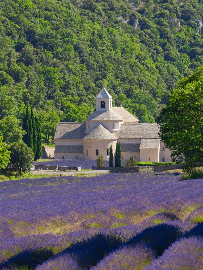 Kinh nghiệm du lịch Provence Pháp - Ghé thăm các cánh đồng hoa oải hương 