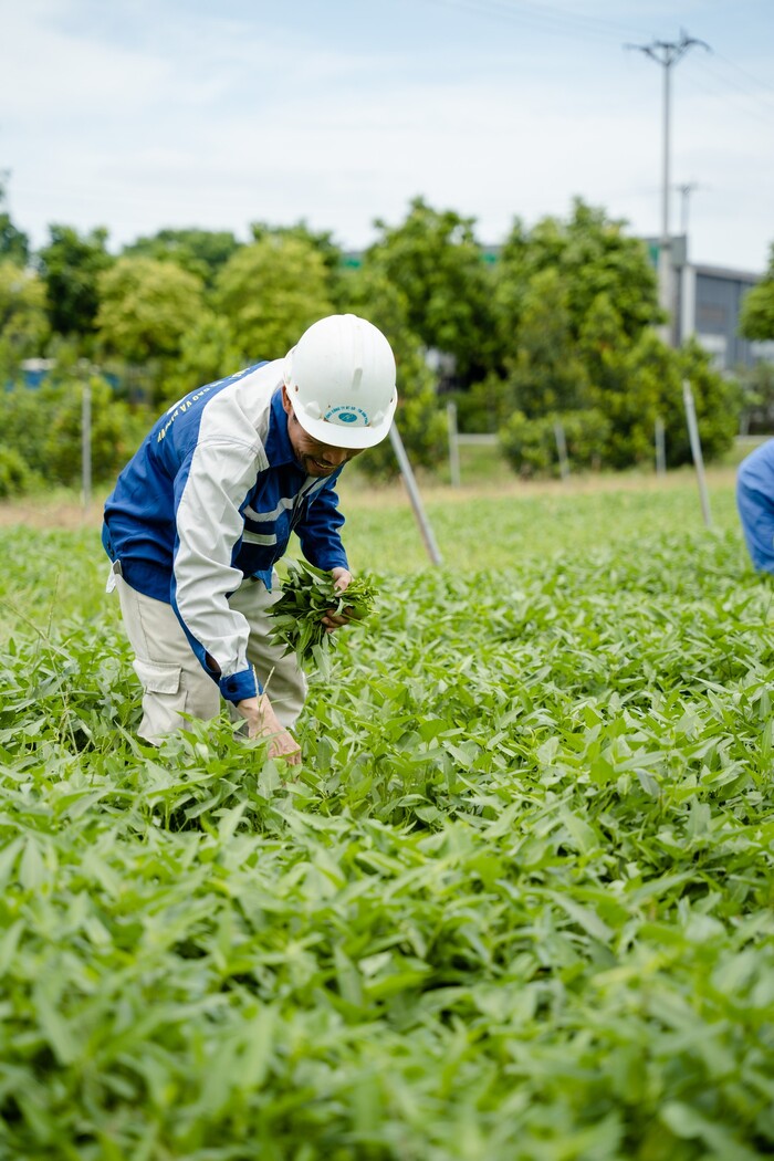 Tham quan nông trại ở làng du lịch Yên Trung Thanh Hóa