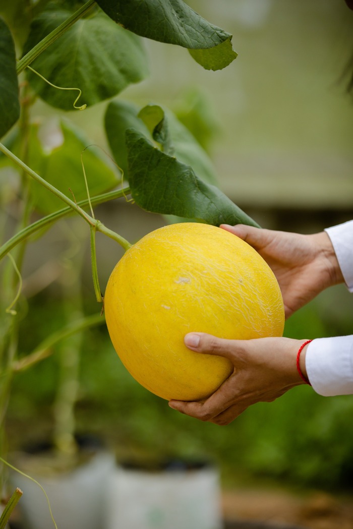 Tham quan nông trại ở làng du lịch Yên Trung Thanh Hóa