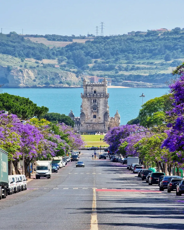 Những địa điểm ngắm mùa phượng tím ở Lisbon Bồ Đào Nha đẹp