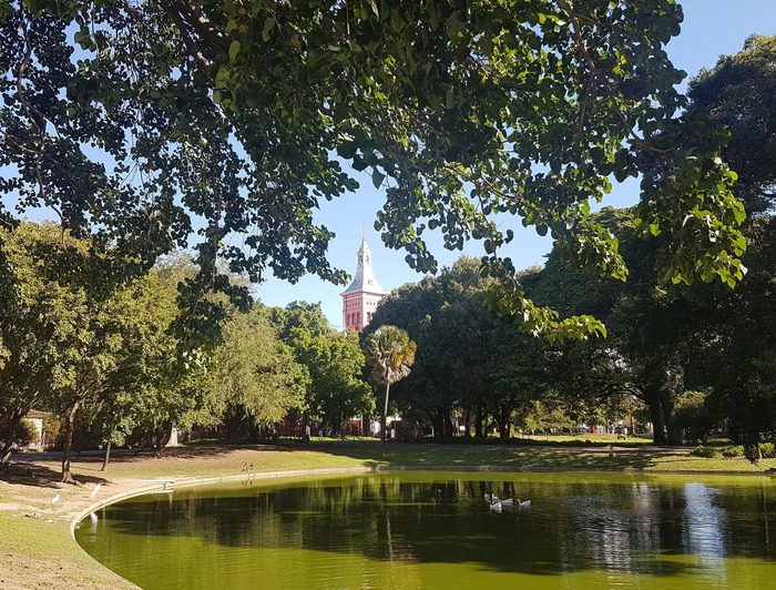 Những địa điểm ngắm mùa phượng tím ở Lisbon Bồ Đào Nha đẹp