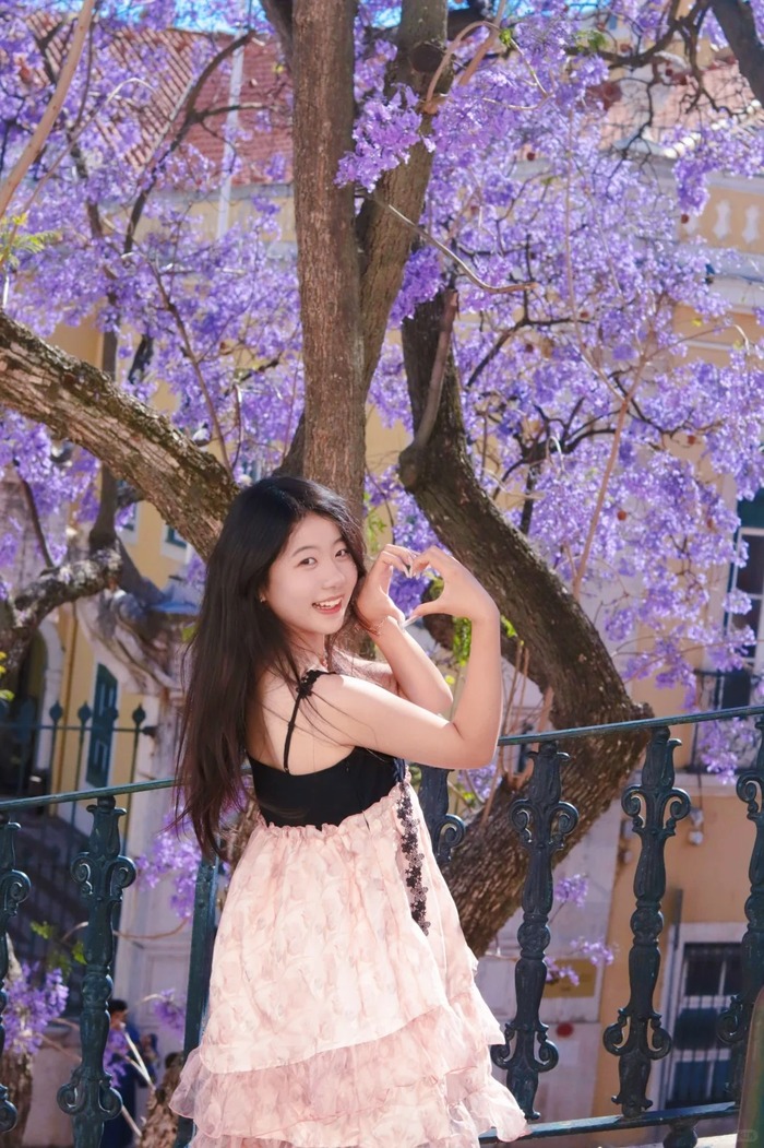 mùa phượng tím ở Lisbon Bồ Đào Nha từ lâu đã trở thành hình ảnh quen thuộc của thành phố