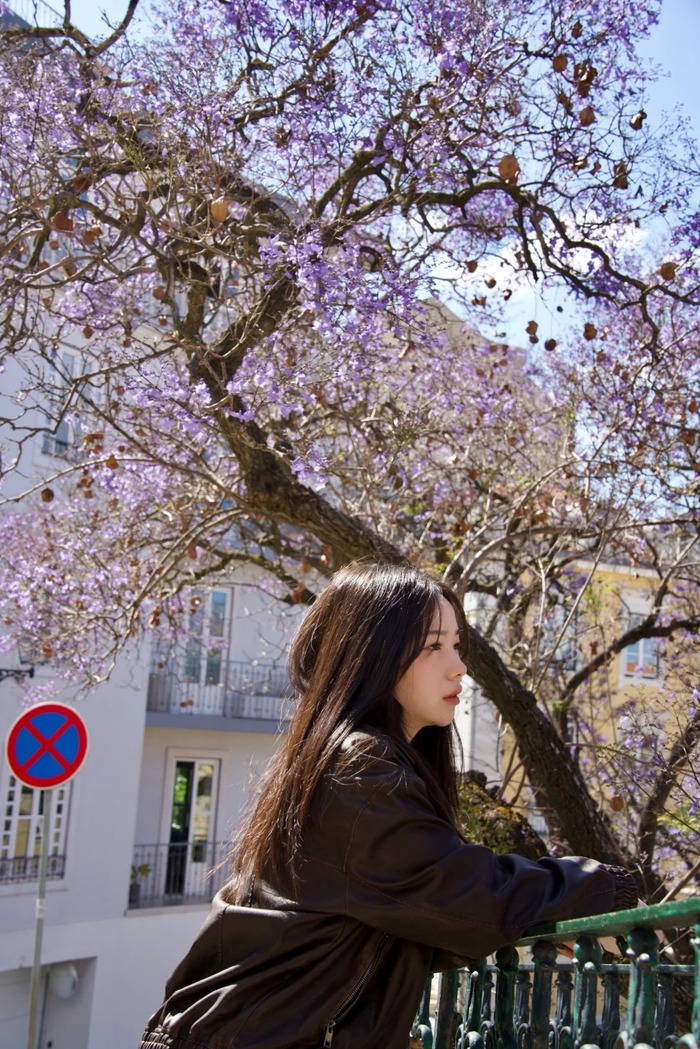 Những điều bạn cần lưu ý khi dự tính đón mùa phượng tím ở Lisbon Bồ Đào Nha 