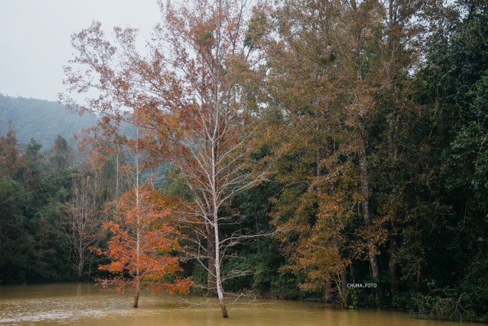 Điều quan trọng là làm sao để phát triển mà vẫn giữ được nét hoang sơ vốn có. Chính vẻ đẹp tự nhiên, chưa bị “đô thị hóa” quá mức là yếu tố khiến du khách tìm đến và quay trở lại. Ảnh: Lê Hữu Hà