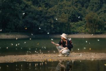 Vườn Quốc gia Cúc Phương:  Khu rừng “thức giấc” trong những cánh bướm bay