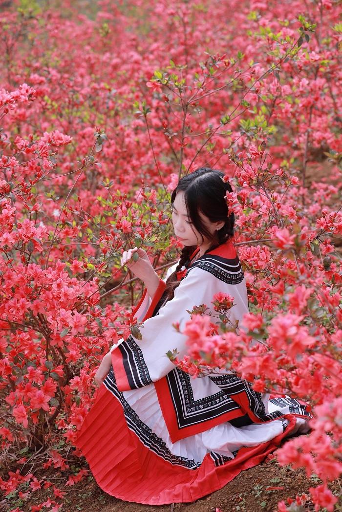 Bạn có thể tới vườn hoa đỗ quyên Mộc Châu bằng bất kỳ phương tiện nào