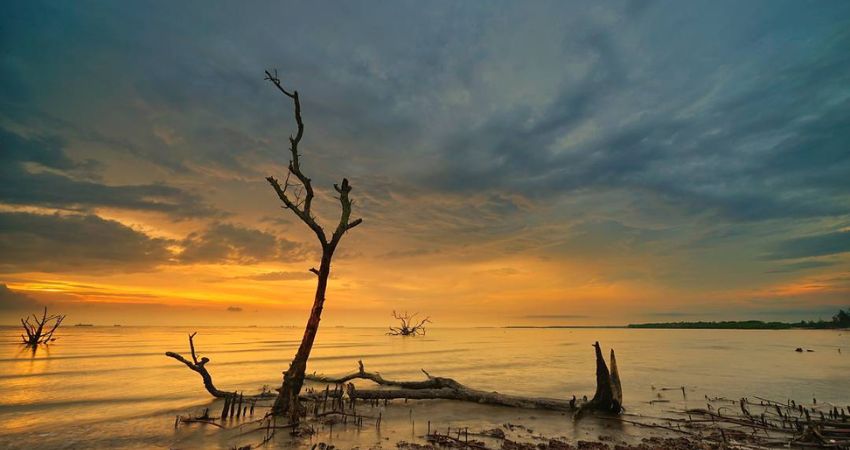 Bãi biển Kelanang