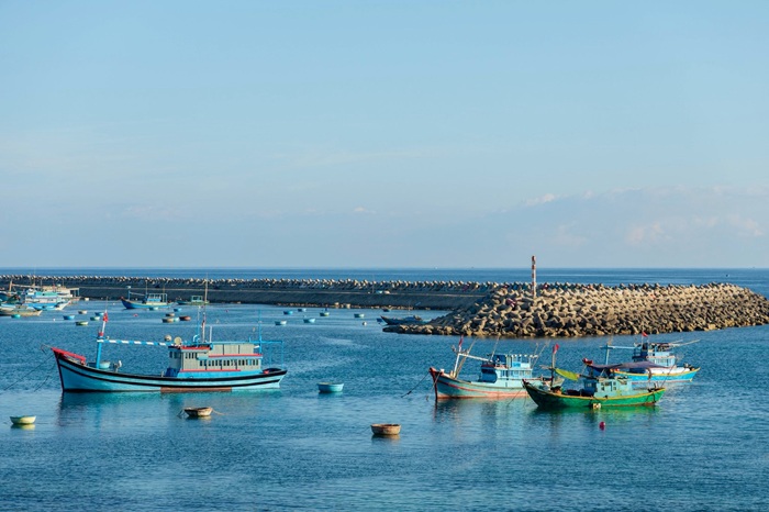 Sắc xanh nơi làng chài vùng biển.