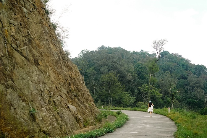 Con đường uốn quanh triền núi giữa không gian xanh mát, thu hút du khách khám phá vẻ đẹp hoang sơ của thiên nhiên. 