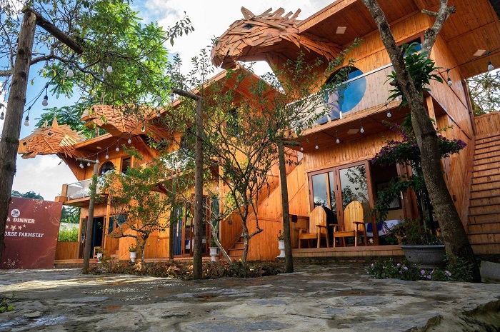 Bắc Hà Horse Farmstay với hệ thống phòng nghỉ chuyên nghiệp