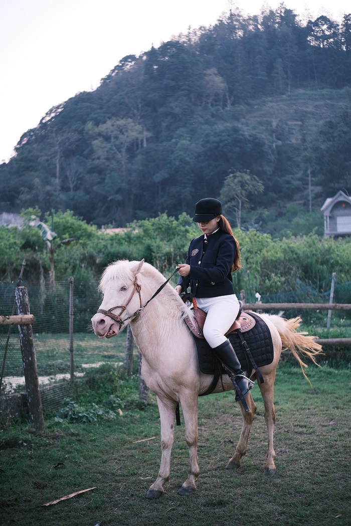 Bắc Hà Horse Farmstay được du khách yêu thích 