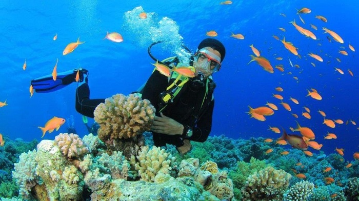 Nhiều hoạt động vui chơi chờ đón khách du lịch biển Dốc Lết Khánh Hòa