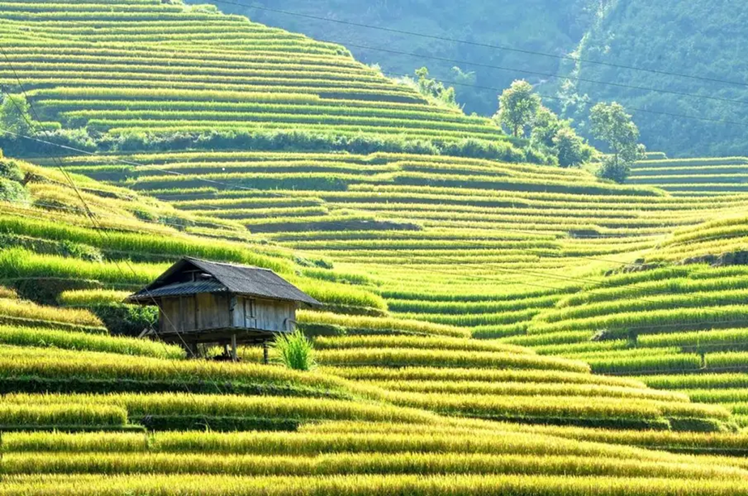 Hình ảnh sapa đẹp như tranh vẻ vào mùa hè. Ảnh: Sưu tầm.