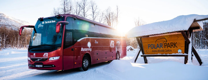 Kinh nghiệm du lịch Tromso Na Uy – Phương tiện di chuyển là xe bus