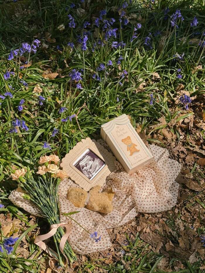 Các địa điểm ngắm mùa hoa Bluebells ở Anh - Khu bảo tồn thiên nhiên Ashridge Estate