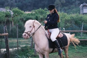 Bắc Hà Horse Farmstay – tọa độ cưỡi ngựa ngắm cảnh cực chill vừa đến đã yêu