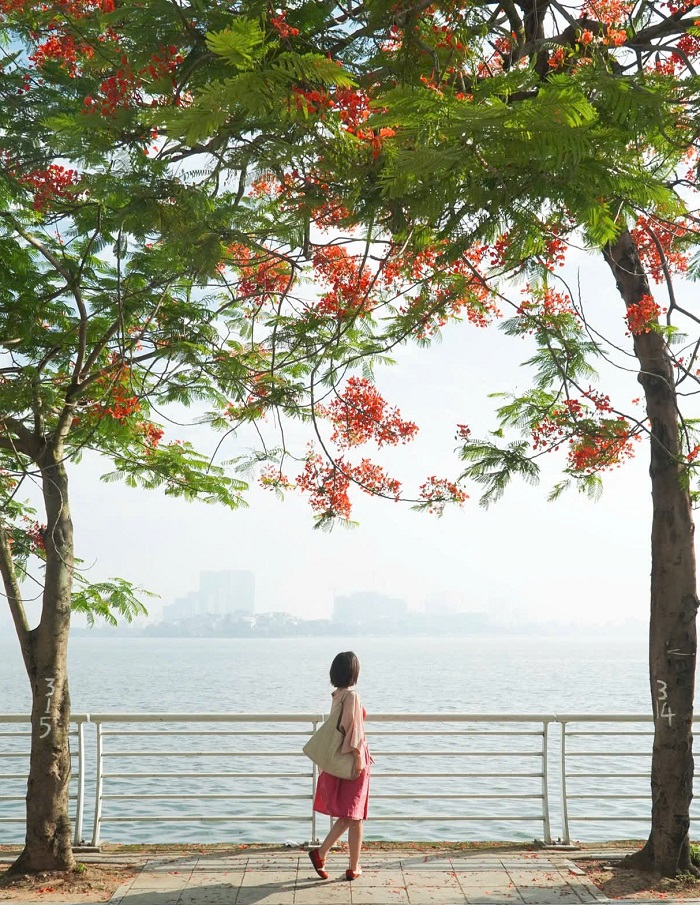 Thung lũng hoa Hồ Tây Hồ Tây ngay gần Thung lũng hoa Hồ Tây