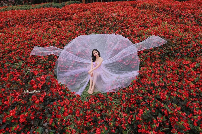 Thung lũng hoa Hồ Tây Hàng trăm loài hoa đua nở tại Thung lũng hoa Hồ Tây