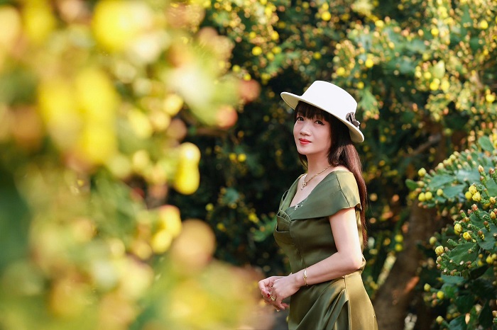Hoa nở vàng rực rỡ, đẹp nhất vào buổi sáng tại vườn hoa xương rồng Mộc Châu 