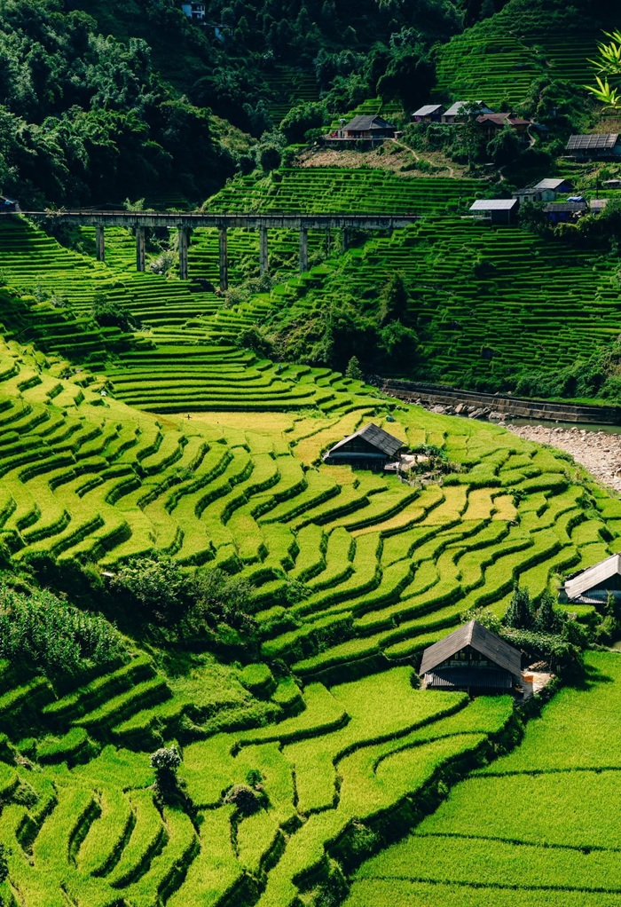 Từ trên cao nhìn xuống, những thửa ruộng như những dải lụa mềm mại quấn quanh sườn núi, phản chiếu ánh nắng dịu nhẹ của vùng cao. 