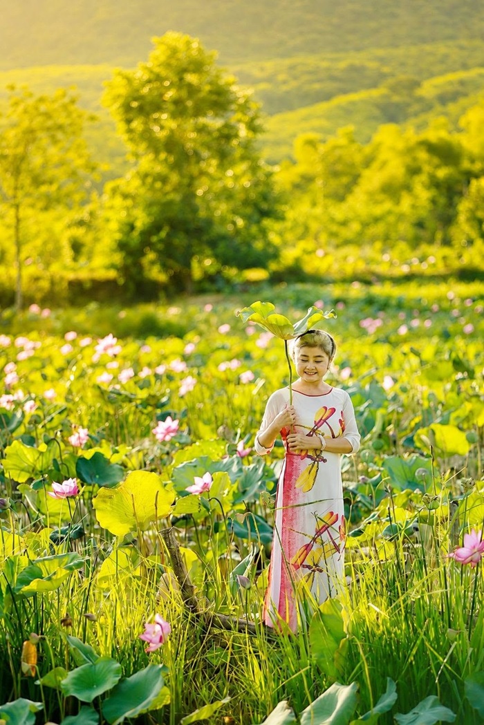 Ánh nắng đầu ngày len qua từng cánh hoa, phủ lên mặt hồ và những lá sen xanh mướt một lớp màu vàng óng dịu nhẹ. 