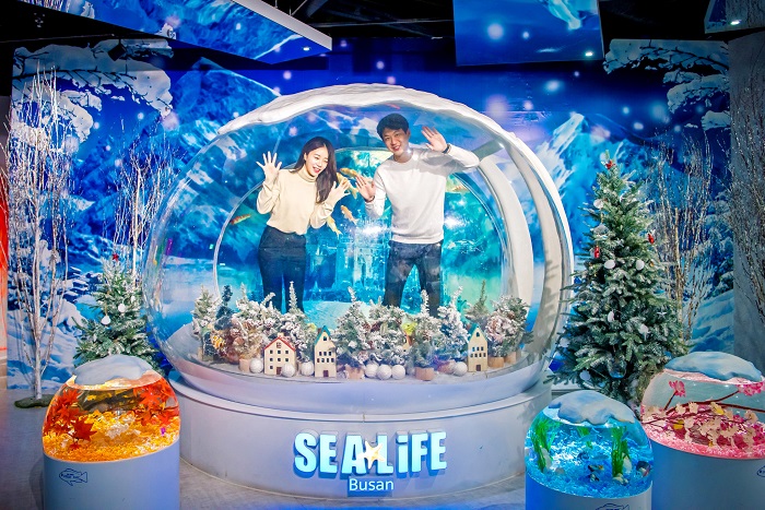 Thế giới đại dương thu nhỏ tại Thủy cung SEA LIFE Busan gần bãi biển Haeundae Busan 