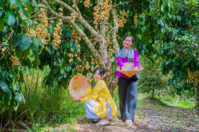 Khu du lịch sinh thái ở Cần Thơ phải kể tới Làng du lịch Mỹ Khánh