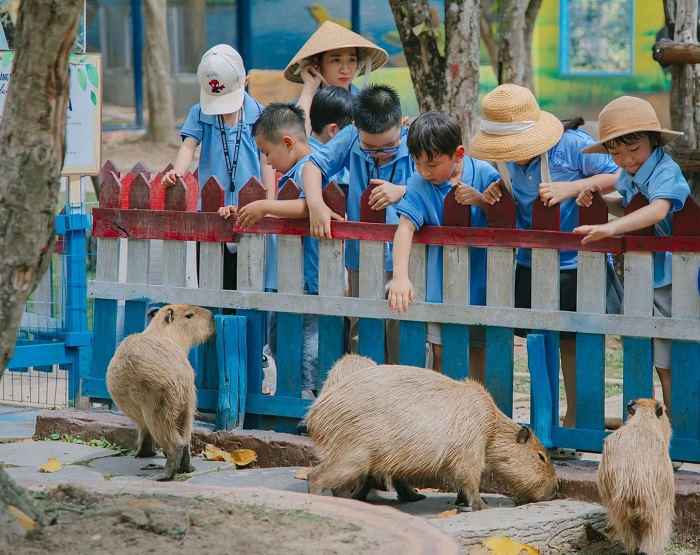 Bỏ túi kinh nghiệm tới Khu du lịch sinh thái ở Cần Thơ