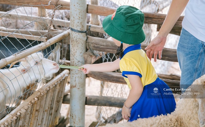 Các bé sẽ thích mê khi tới vườn thú Khu du lịch sinh thái ở Cần Thơ