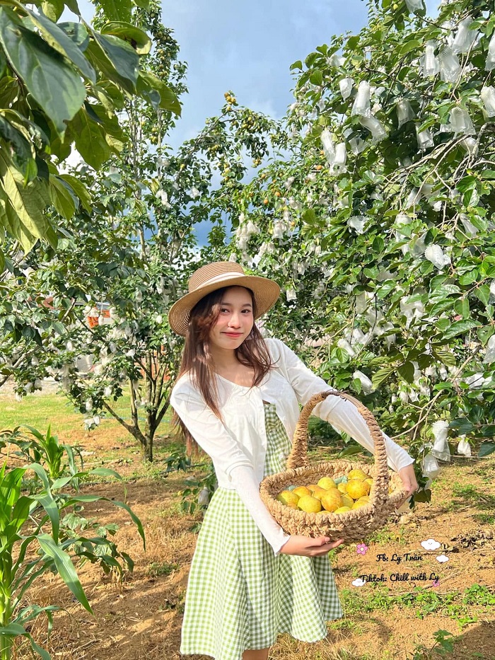 Bỏ túi kinh nghiệm khi chưa biết tháng 7 nên đi du lịch ở đâu Miền Bắc