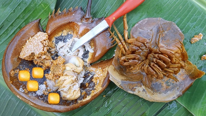 tháng 7 nên đi du lịch ở đâu Miền Bắc thưởng thức món sam biển đặc sản Móng Cái