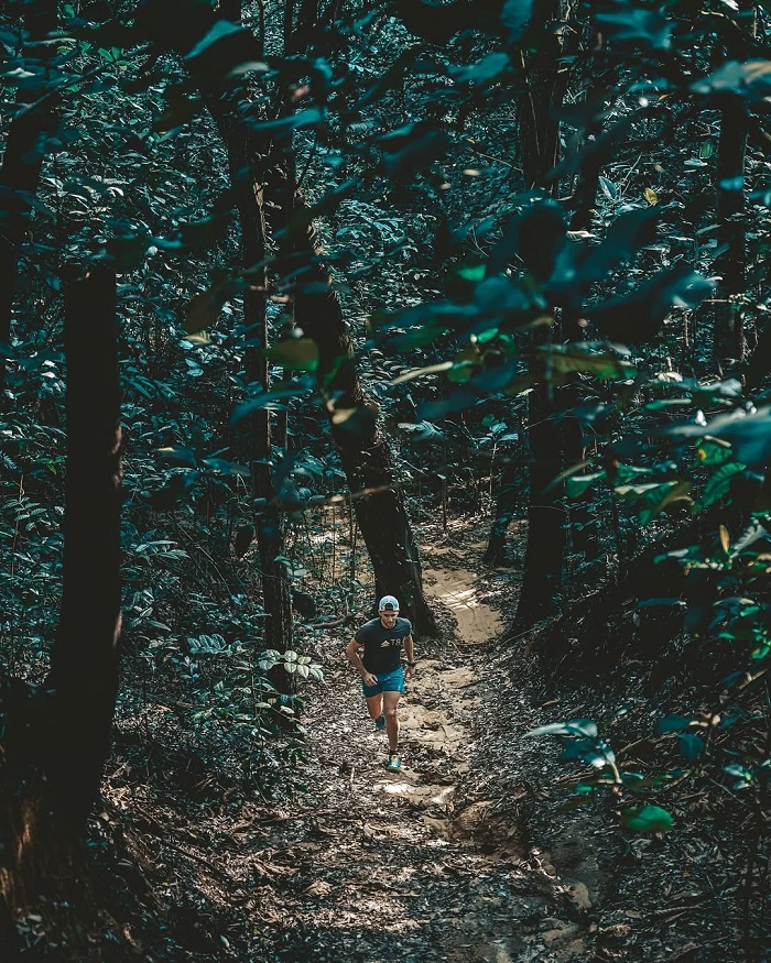 Kinh nghiệm khám phá công viên Kent Ridge Singapore 