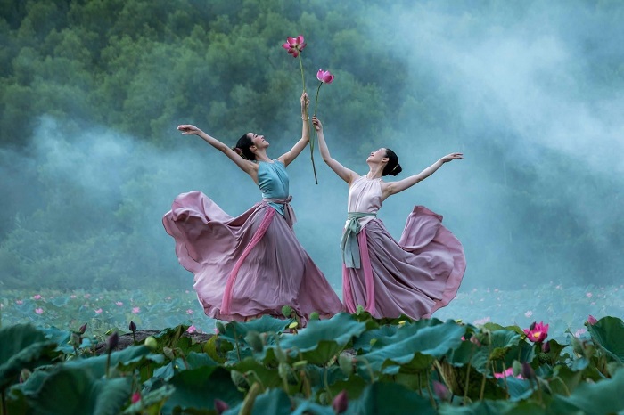 Đầm sen Trà Lý Quảng Nam đang bước vào mùa hoa đẹp nhất