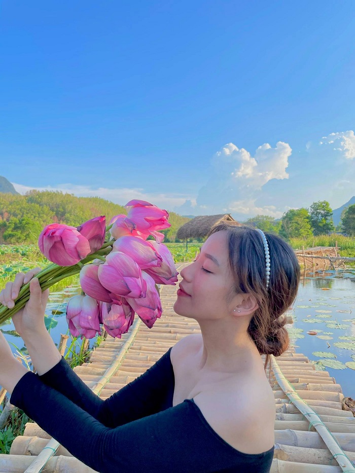 Một bó sen tại đầm sen Trà Lý Quảng Nam tầm 100.000 đồng