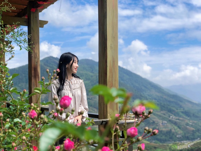 Kinh nghiệm đi du lịch vườn hồng cổ Sapa - góc chụp ảnh đẹp nao lòng