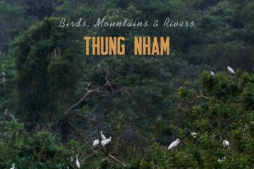 Ghé thăm vườn chim Thung Nham - Khoảng lặng giữa miền non nước